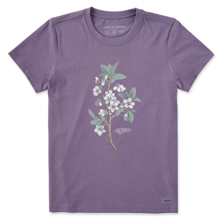 Women's Antique Plum Blossom Painting Short Sleeve Tee